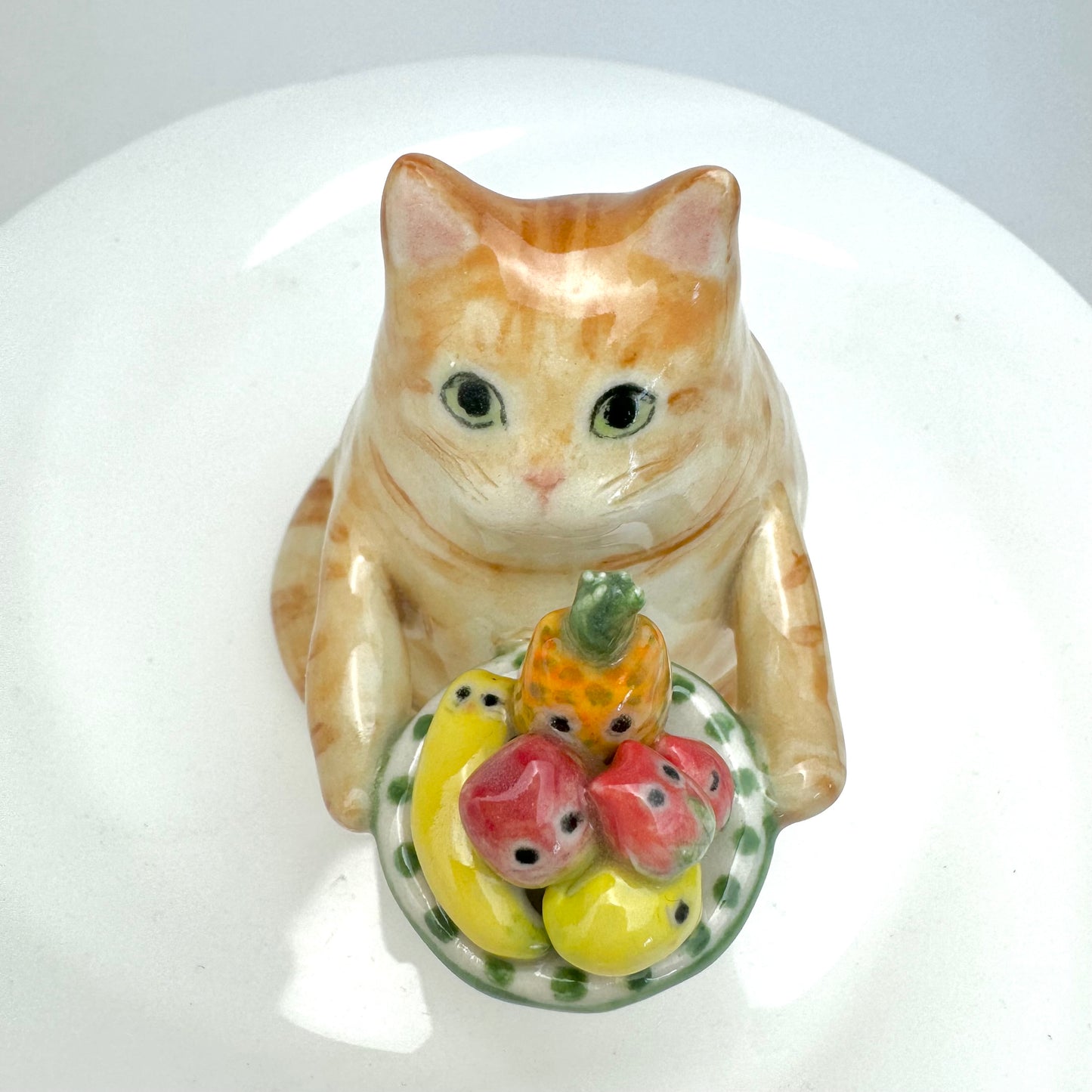 Fruit Plate Cat