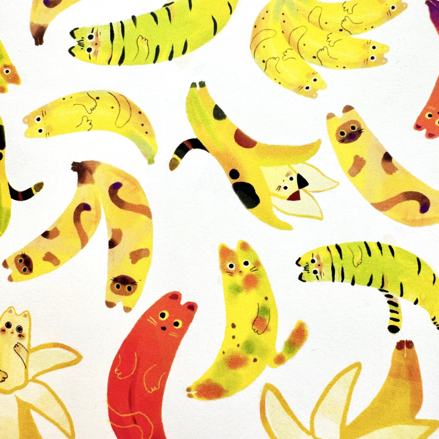 Banana Cat Greeting Card