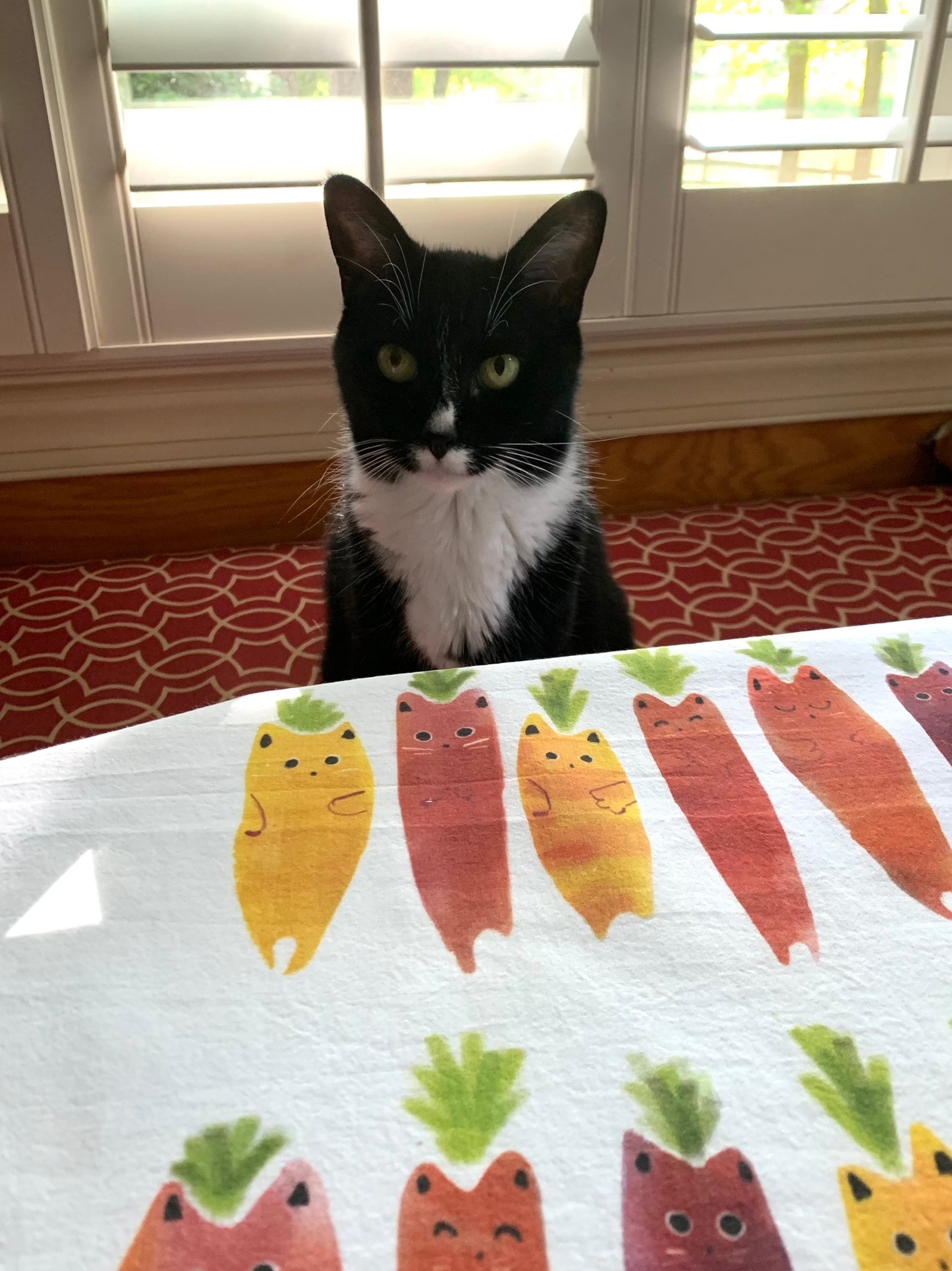 Big Banana Cat Tea Towel