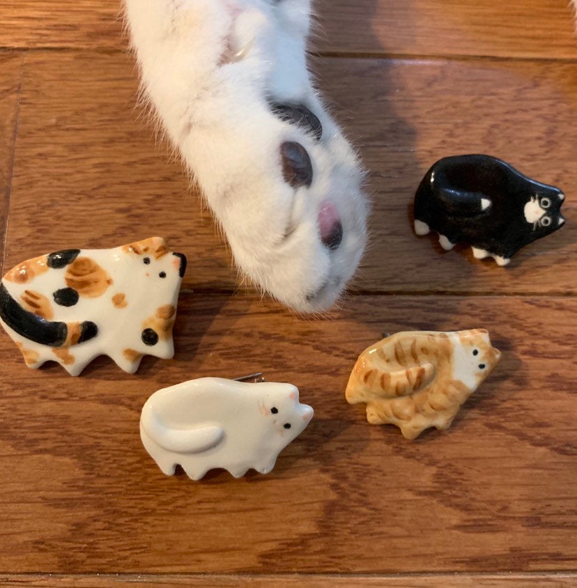 Flat Cat Brooch