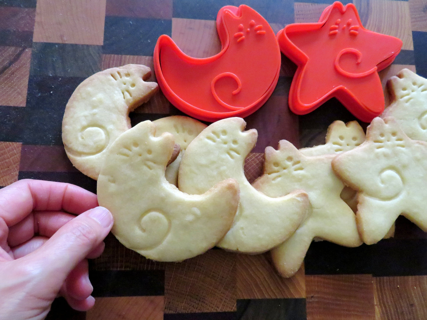 Star and Moon Cat Cookie Cutters & Stamps