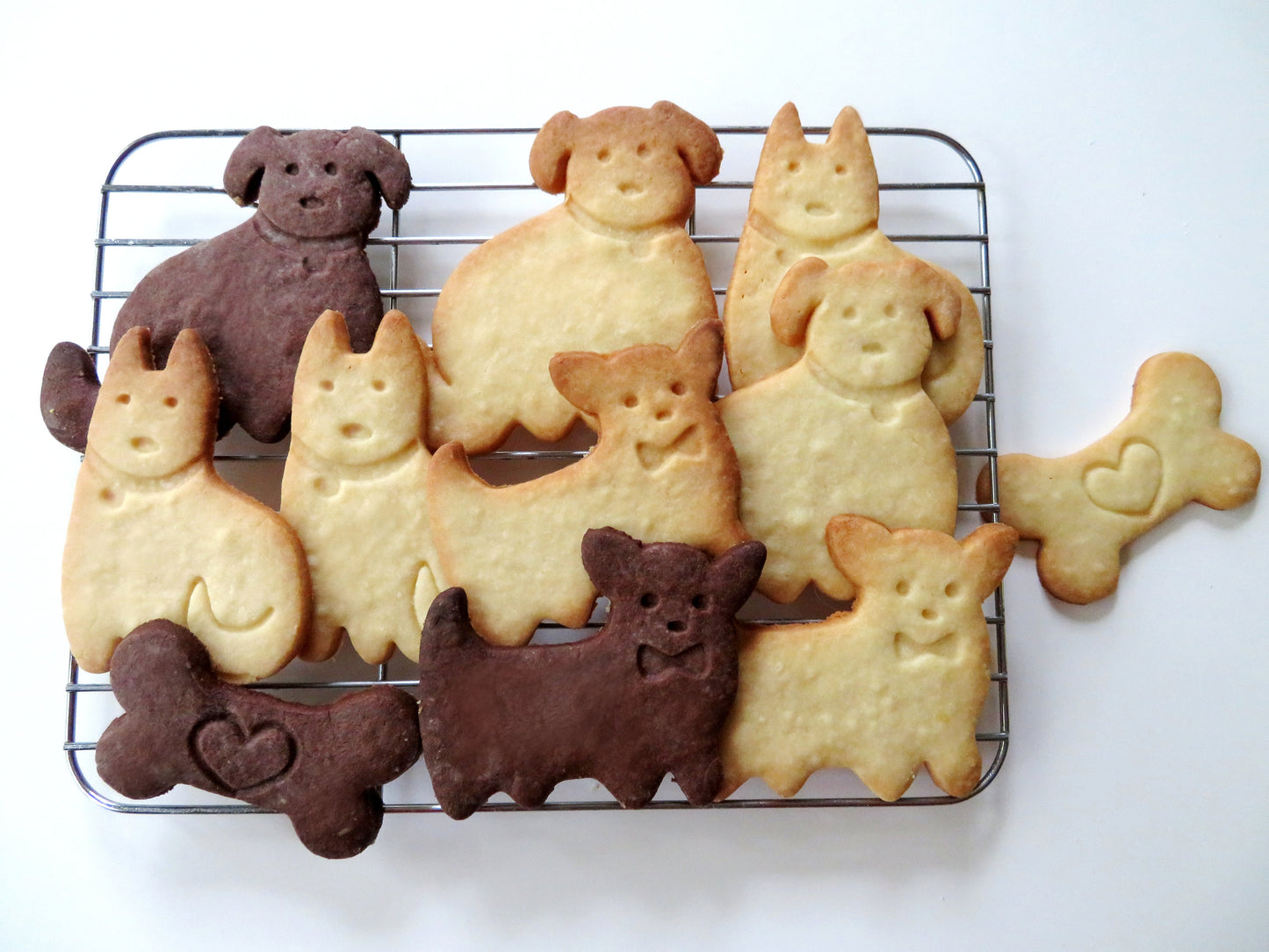 Cat Cookie Cutters & Stamps