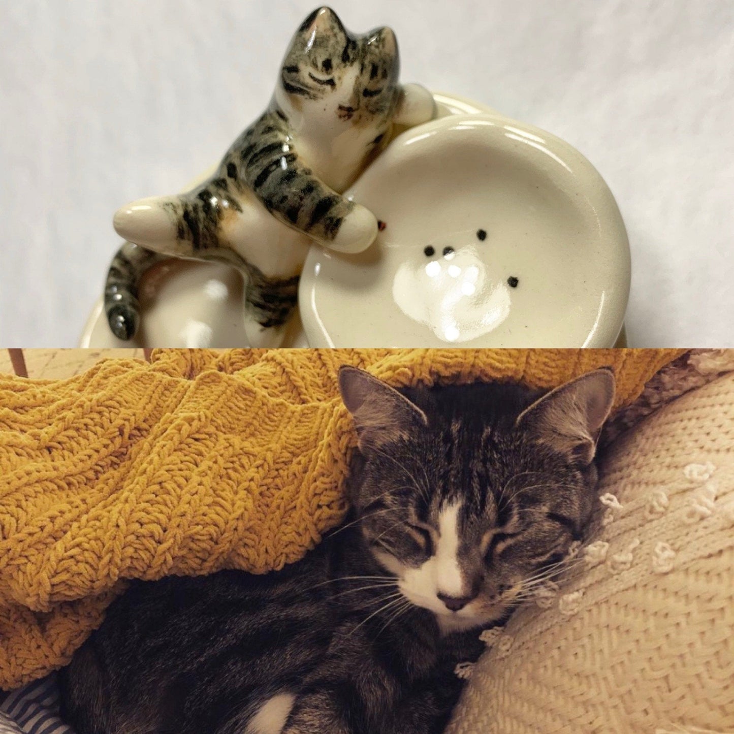 Lazy Cat Ring Dish