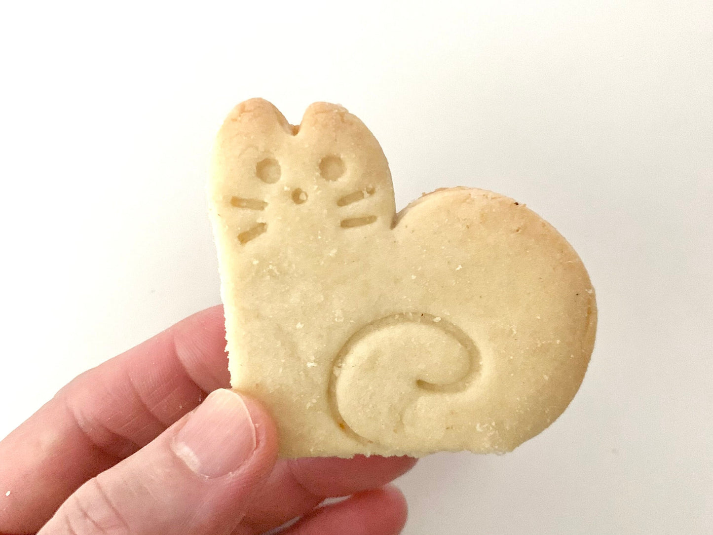 Four Heart Cat Cookie Cutter & Stamp